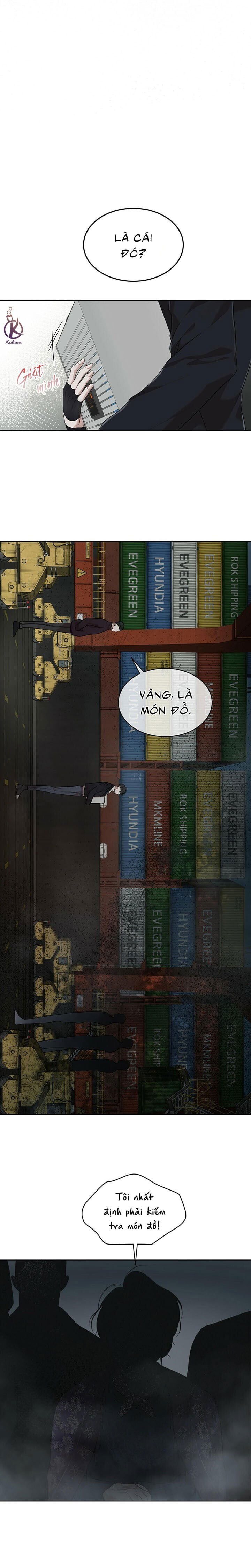 hình thái khởi sinh chapter 49 17