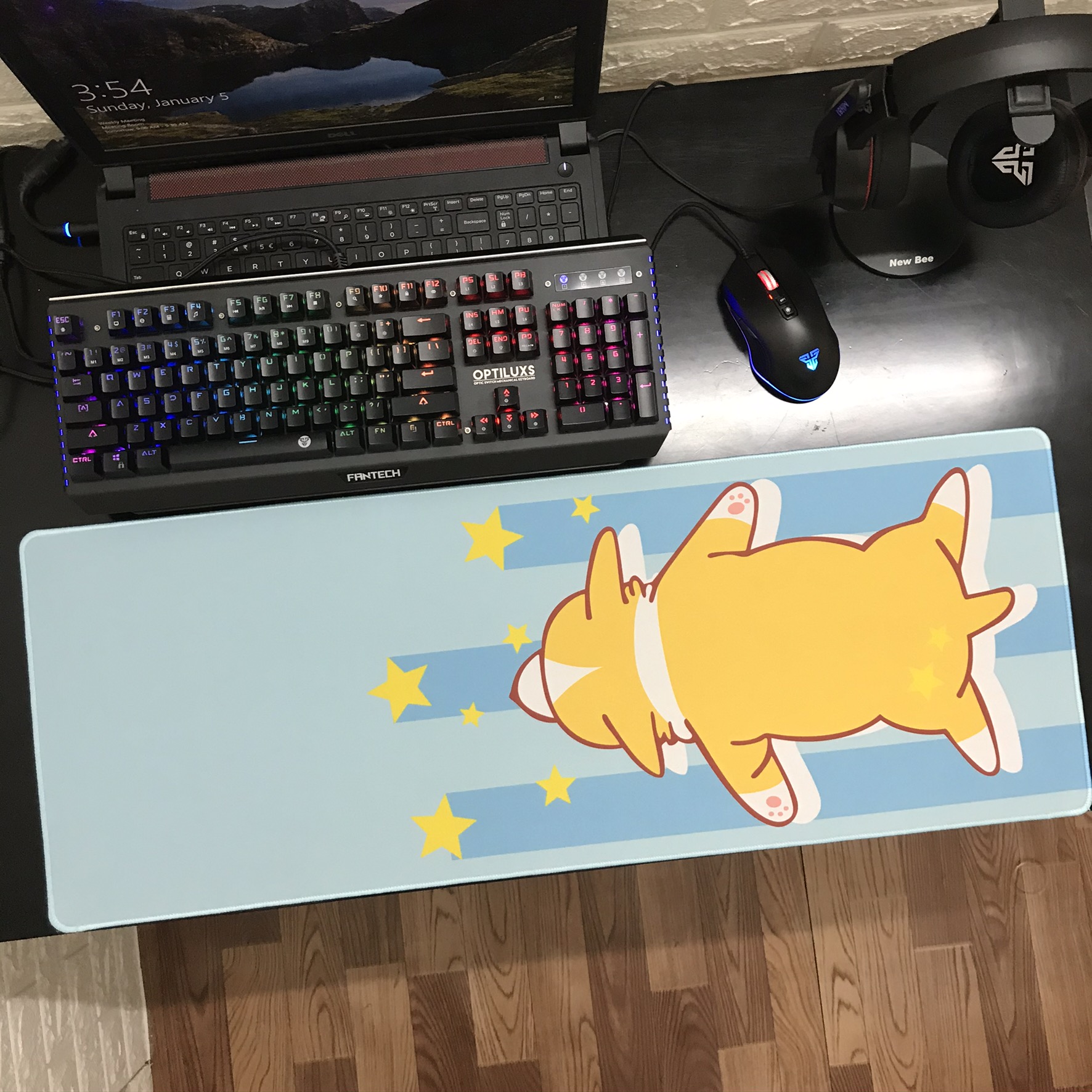 Miếng Lót Chuột, Bàn Di Chuột, mouse pad Cute dễ thương/ Hàng chính hãng