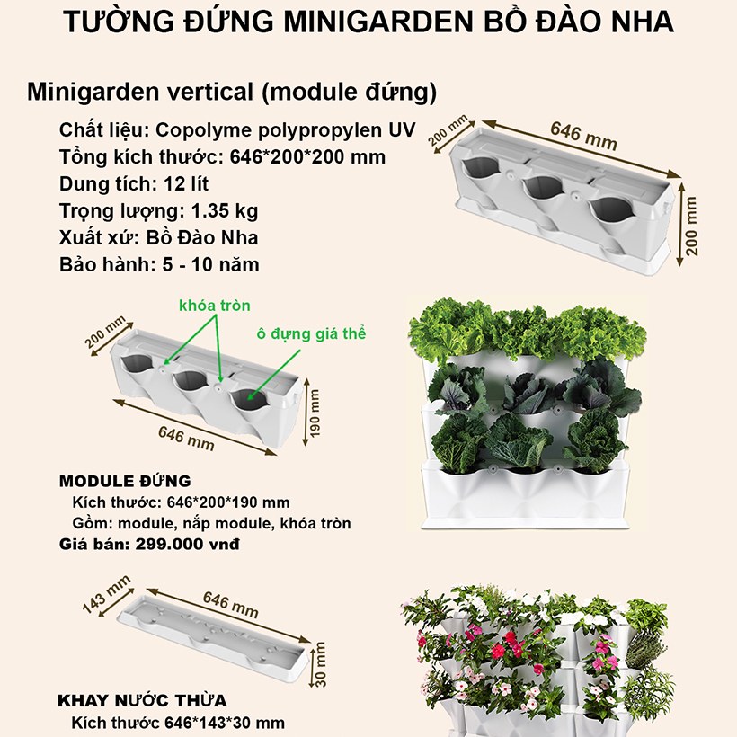 CHẬU MODULE TRỒNG RAU BAN CÔNG NHẬP KHẨU BỒ ĐÀO NHA