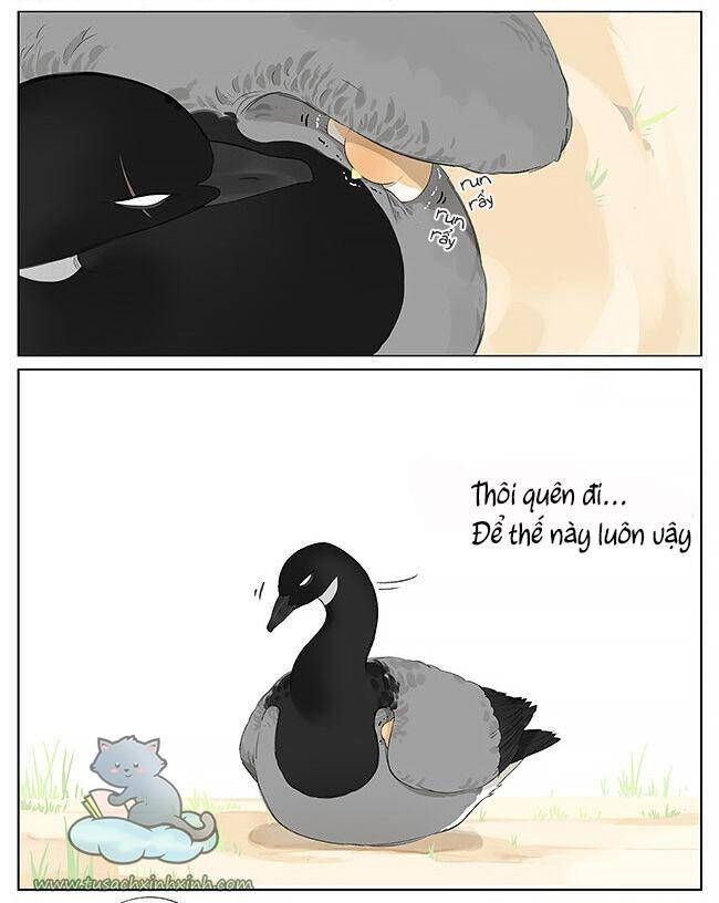 chim sẻ gọi ngỗng trời chapter 9 11
