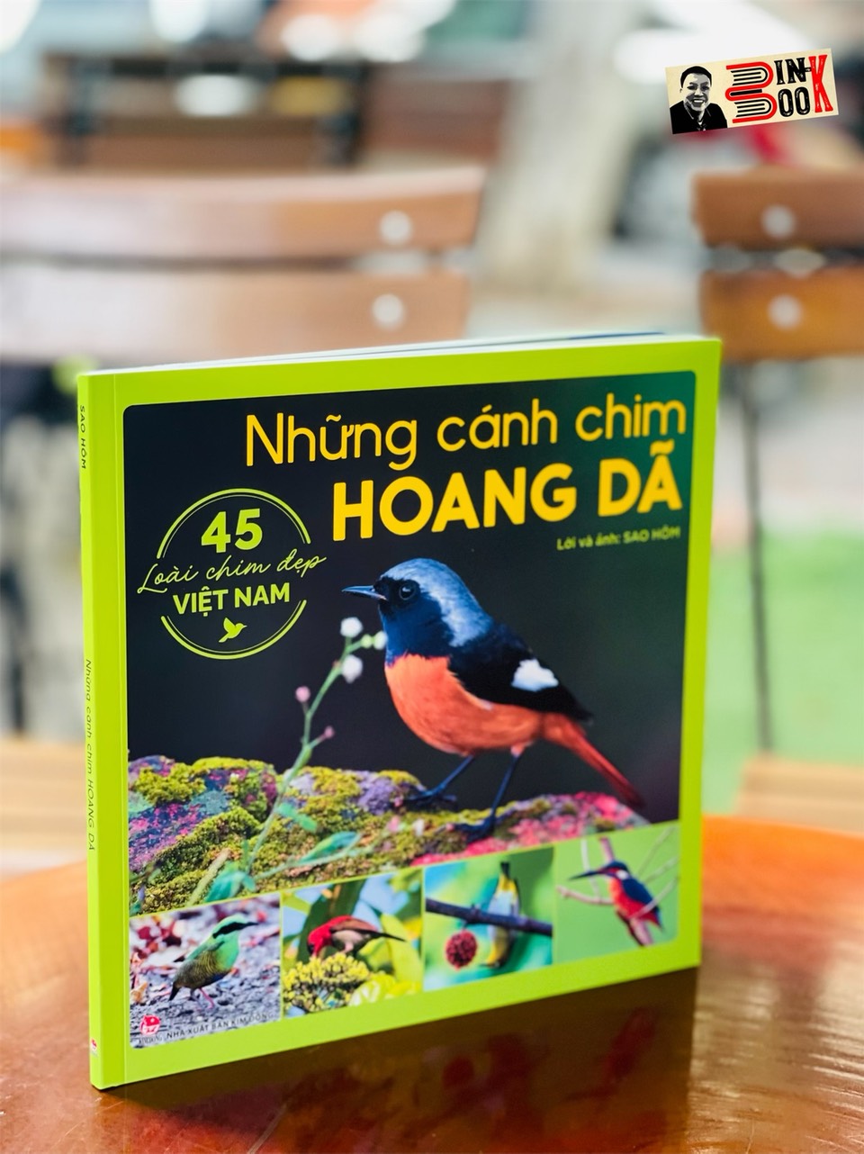 [Minh họa in màu] NHỮNG CÁNH CHIM HOANG DÃ - 45 LOÀI CHIM ĐẸP VIỆT NAM - Sao Hôm - Nxb kim đồng – bìa mềm