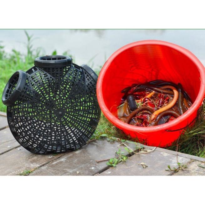 RỌ BẪY CÁ LƯƠN 3 ĐẦU THÔNG MINH. - sale to