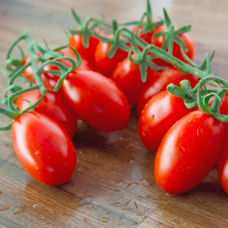 Hạt Giống Cà Chua Cherry Đỏ,Loại Quả Giàu Vitamin A, C và K Rất Tốt Cho Sức Khỏe, Trồng Được Quanh Năm - Nông Sản Vàng