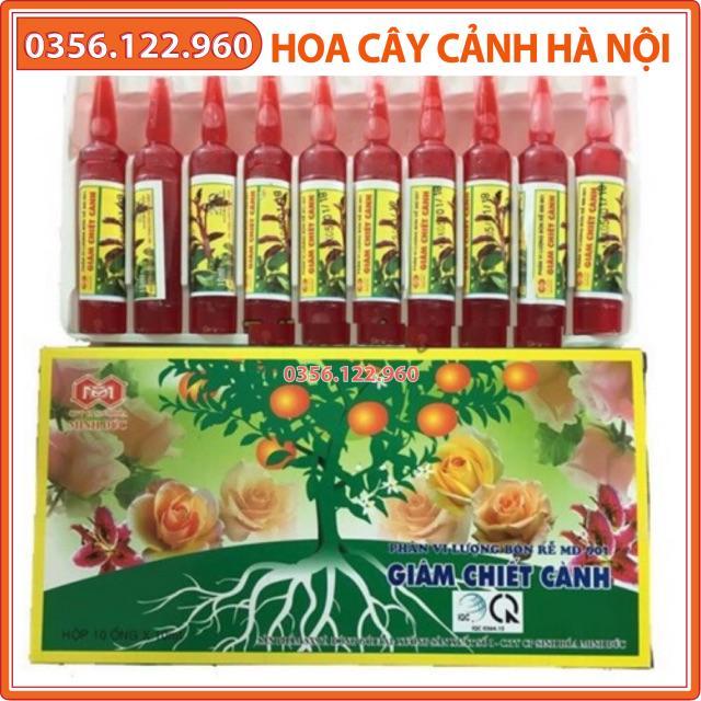 Thuốc kích rễ chuyên giâm chiết cành - set 10 lọ