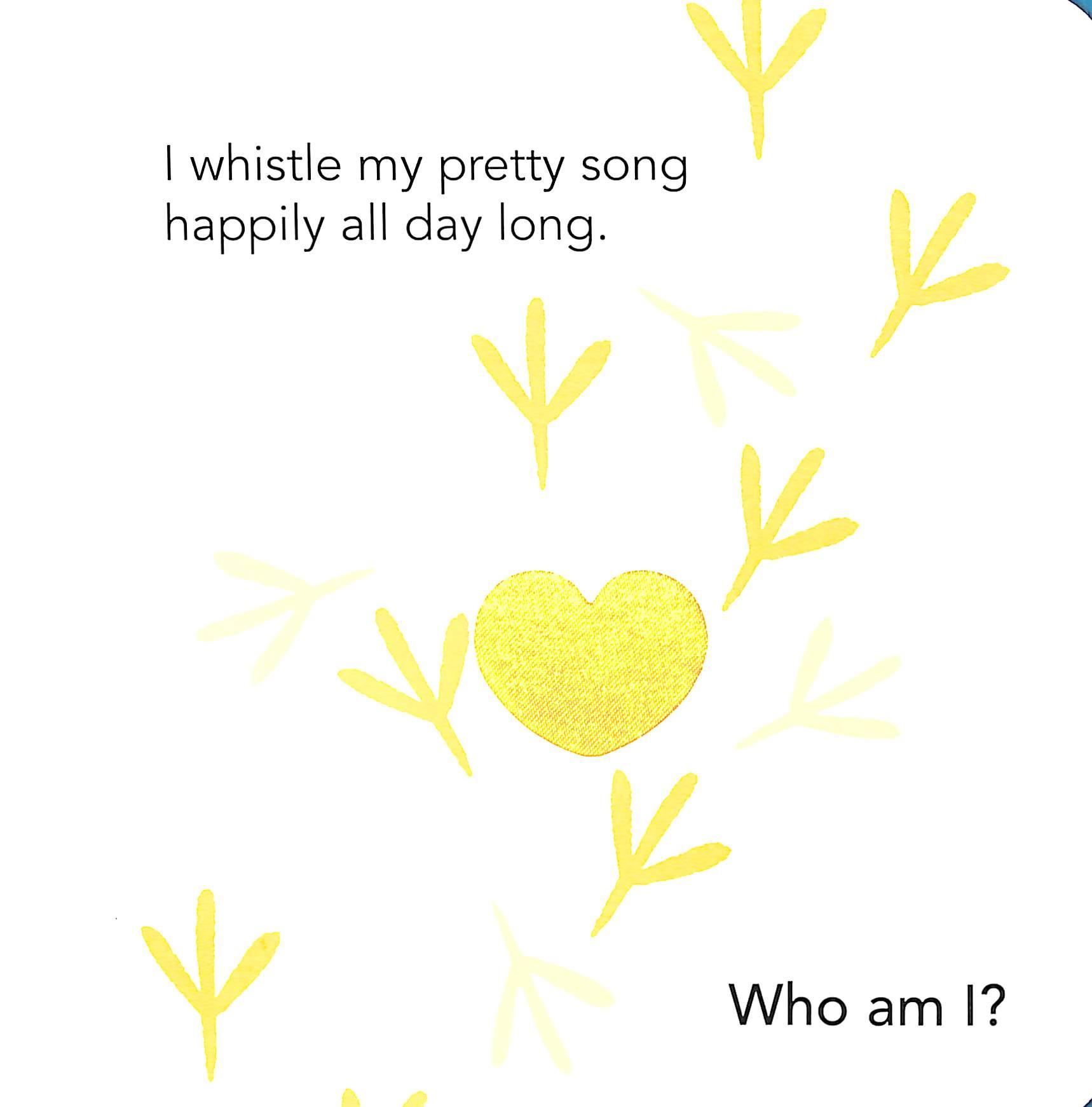 Who Am I? Touch &amp; Feel Flap Book: Pets