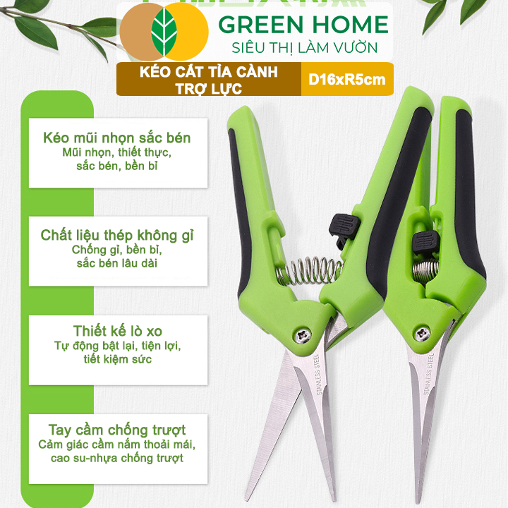 Kéo Cắt Cành GreenHome, D16,5xR4,5cm, Inox, Mũi Nhọn, Siêu Bén, Không Gỉ, Có Khoá An Toàn, Nhiều Màu Lựa Chọn