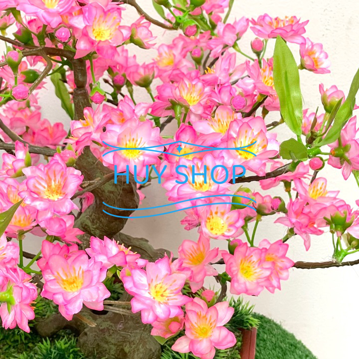 Hoa trang trí Ngày Tết - Chậu HOA ĐÀO  để bàn trang trí nhà cửa