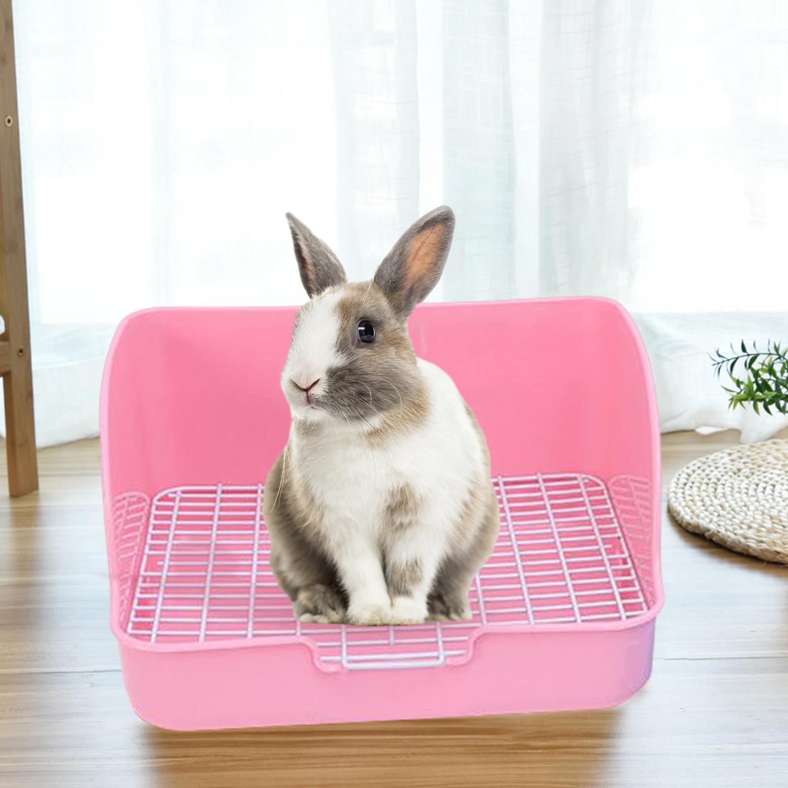 Hamster Chinchilla Ferret Hedgehog Supplies Pink