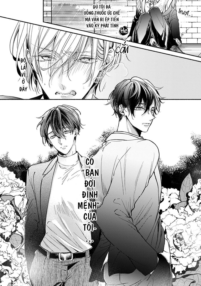 omega giả vờ kiên cường đó là bạn tình của tôi chapter 1 7