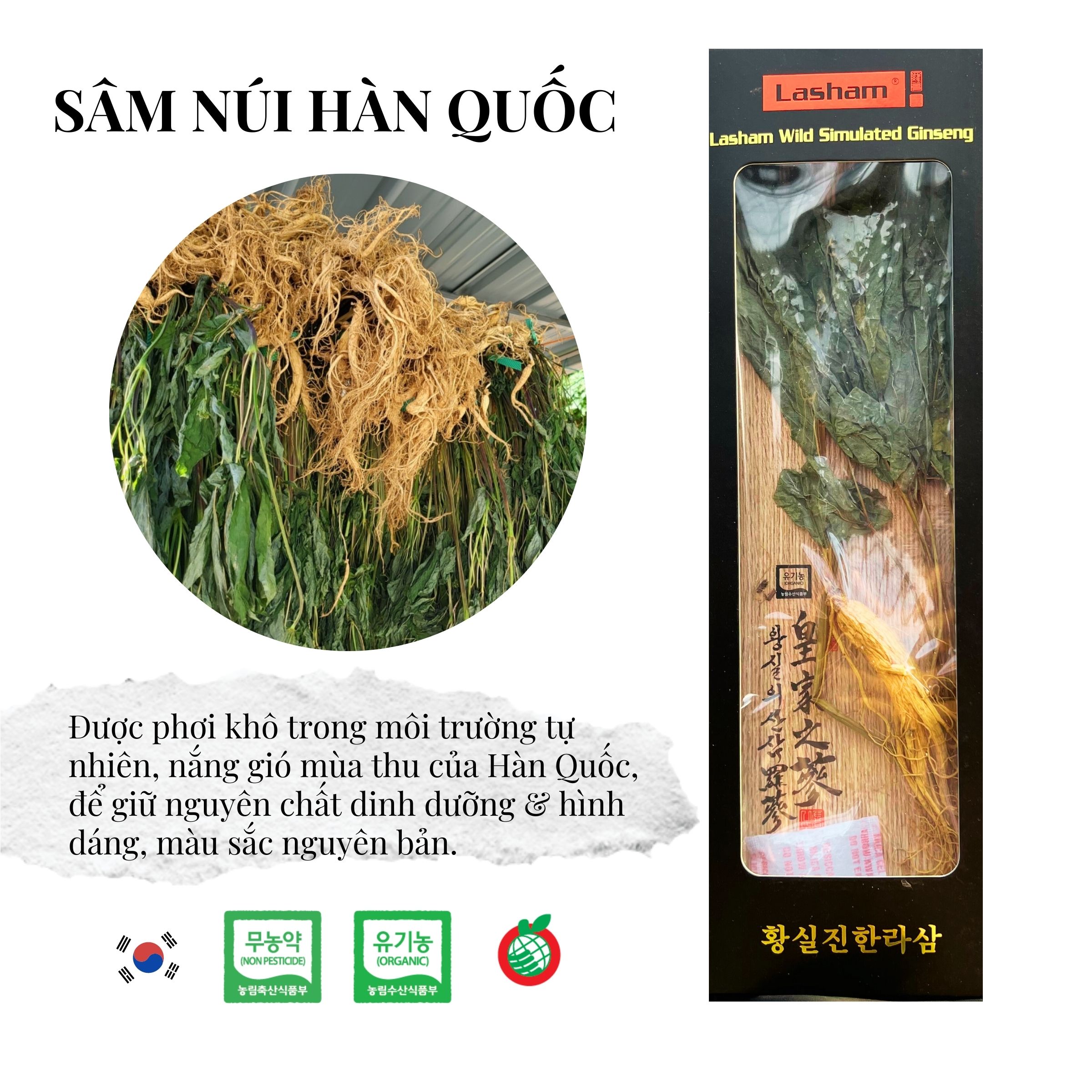 Hộp 1 Cây Sâm Núi Khô Nguyên Bản Lasham Hàn Quốc - 7 Năm Tuổi (lasham Dried Wild Simulated Ginseng -로얄 산삼 라삼)