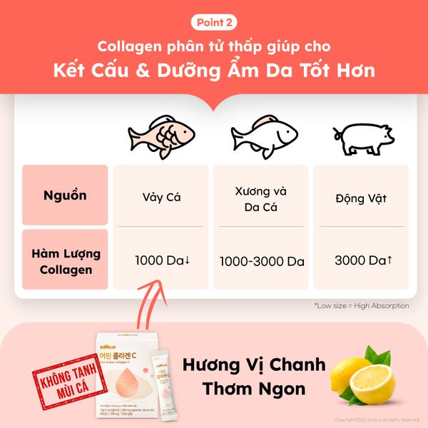 Bột Uống Sorbus Collagen Fish Scale + Vitamin C Cao Cấp (30 ngày) Collagen Vảy Cá Cao Cấp, Căng Mịn, Giảm Lão Hóa