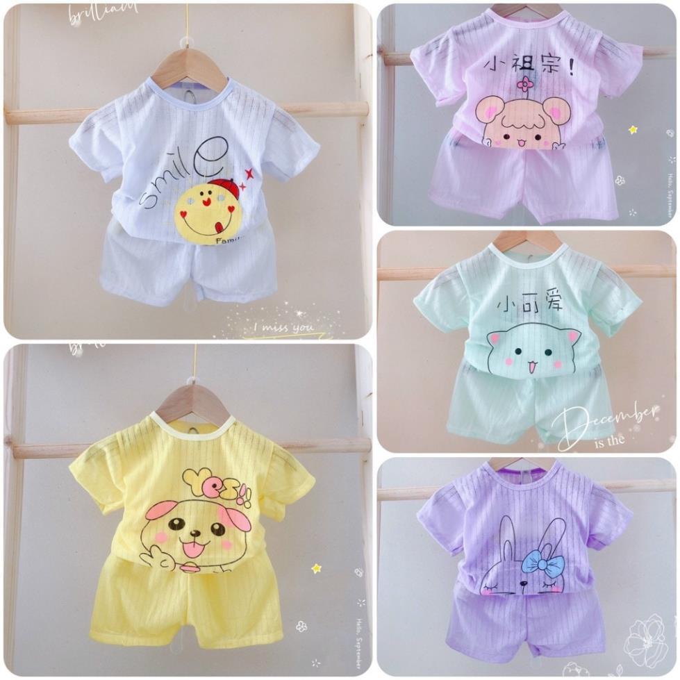 BỘ COTTON GIẤY CỘC TAY CHO BÉ 3-12 KG, GIAO MẪU NGẪU NHIÊN .