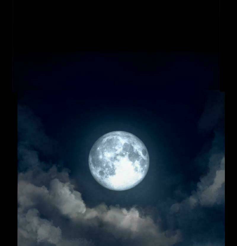 khúc hát người cá siren chapter 4 6