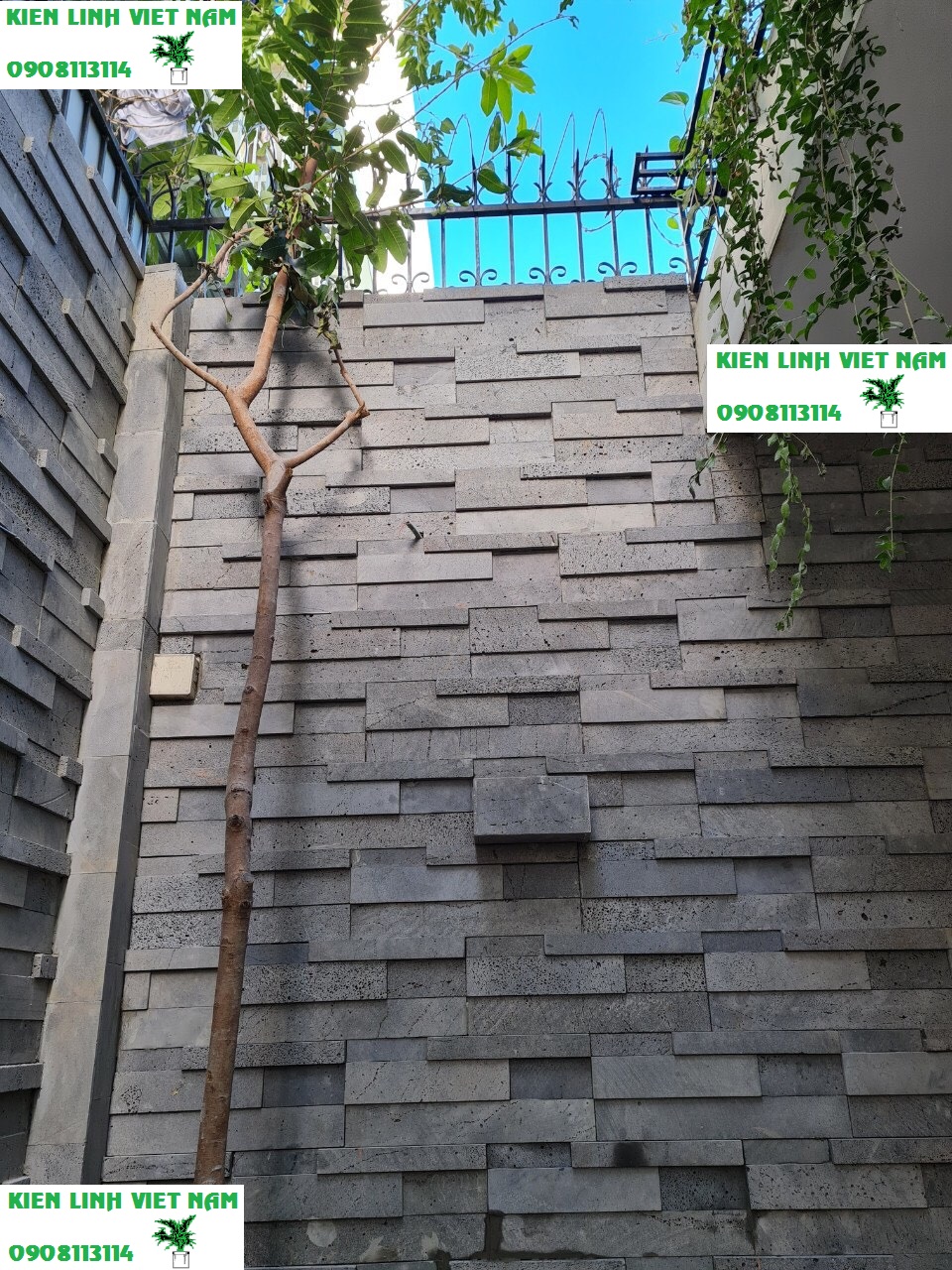 Combo 3 Chậu trồng cây ban công hình vuông 15cm, hình chữ nhật dài 30cm và chữ nhật dài 40cm trồng hoa treo tường giếng trời, thông tầng nhà phố bằng đá ong xám tự nhiên đẹp và bền chắc