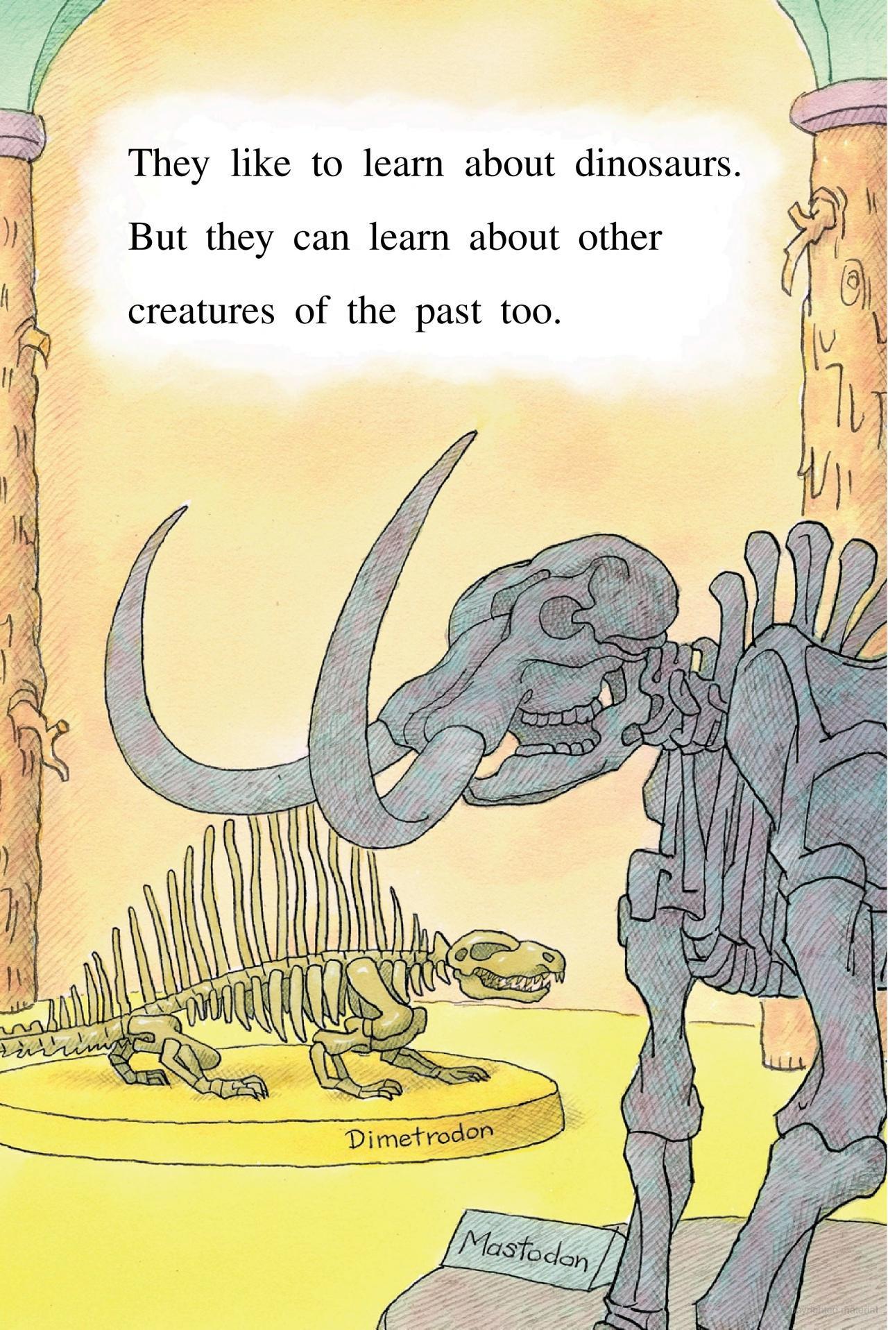 Sách ngoại văn: The Berenstain Bears Visit The Ice Age