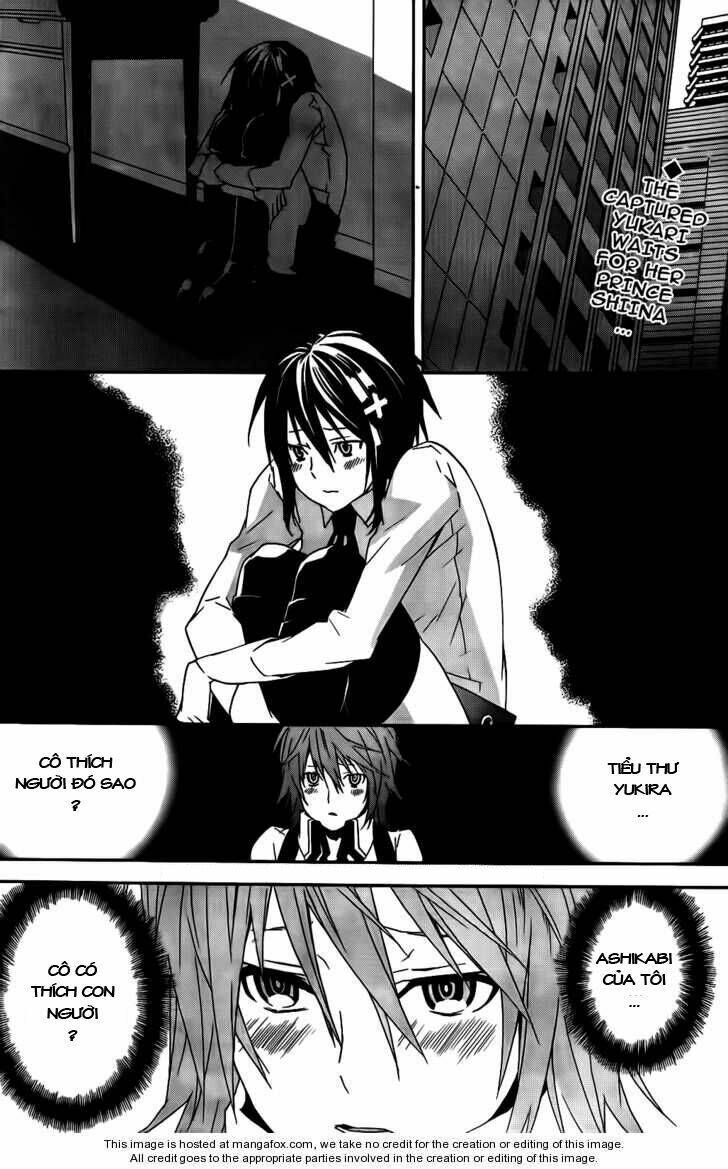 sekirei chapter 102 3