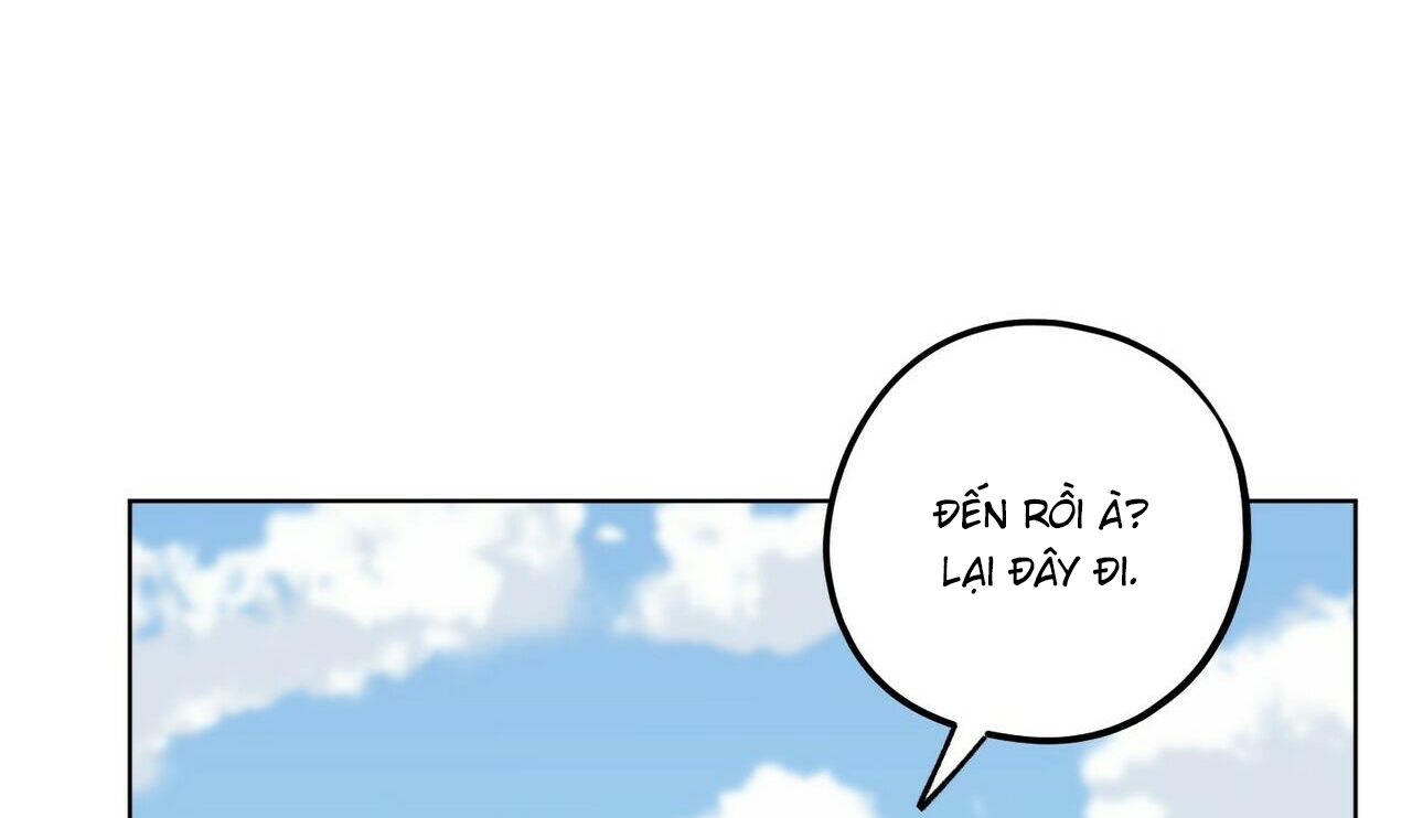 chàng dâu nhà họ kang chapter 30 85