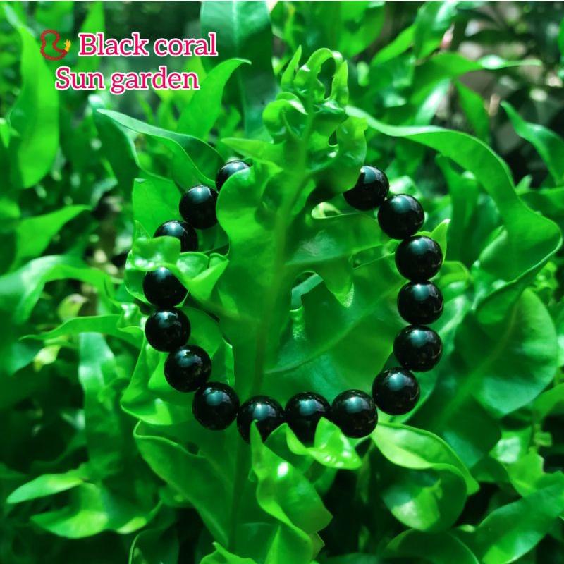 Vòng tay san hô đen sang trọng