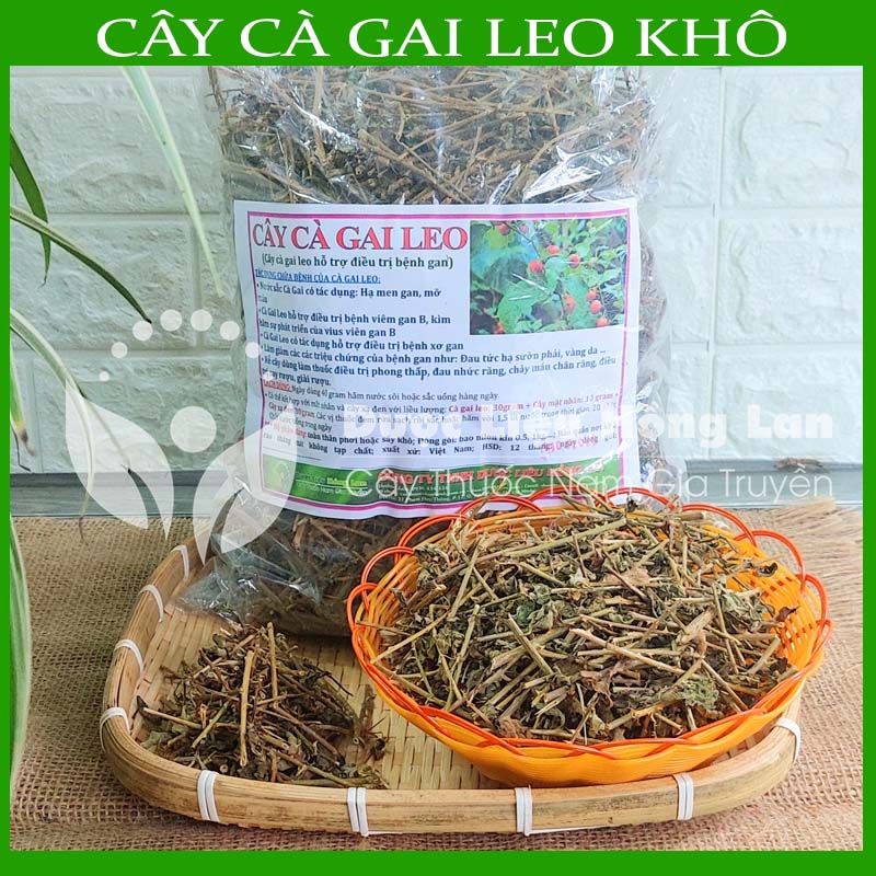 Cây Cà Gai Leo khô loại 1 đóng gói 500g