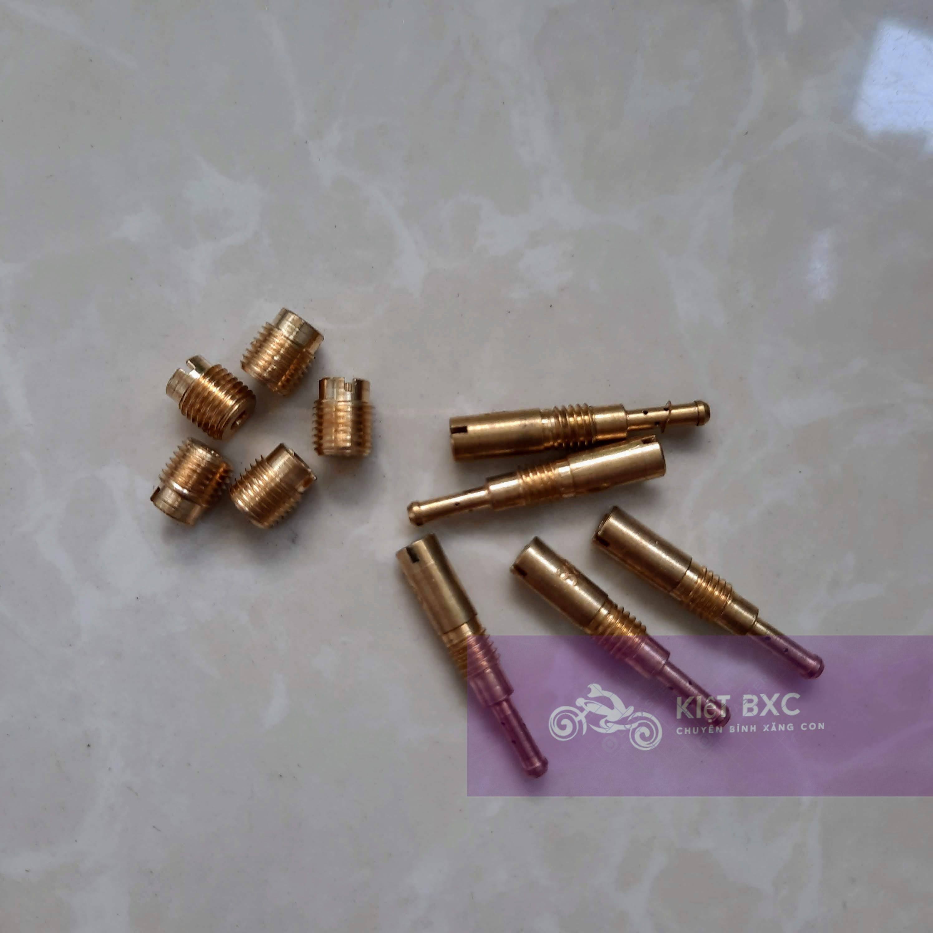10 GICLO CHÍNH PHỤ