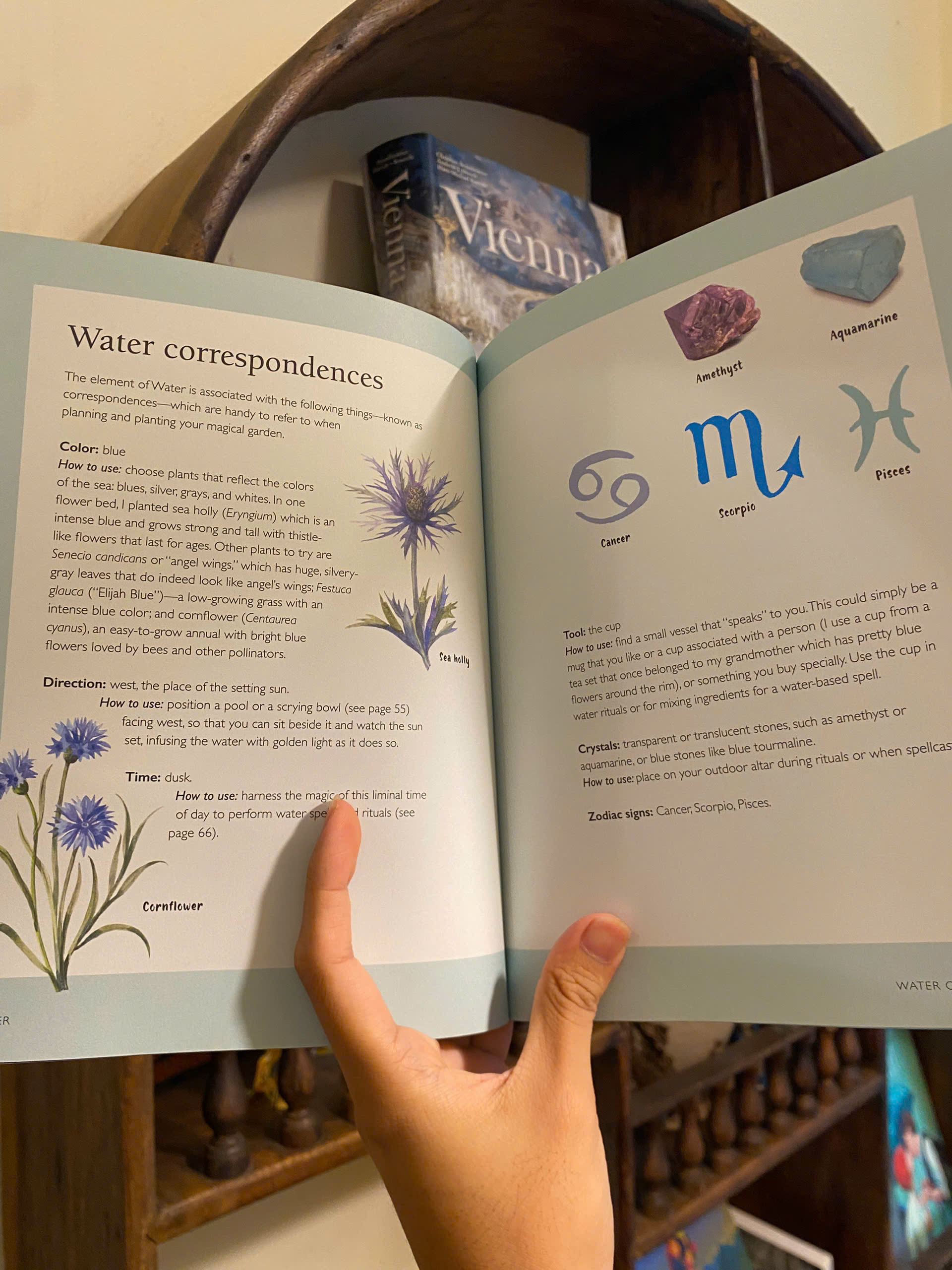 Sách - Your Magical Garden: Harness the Power of the Elements by Clare Gogerty | English Book