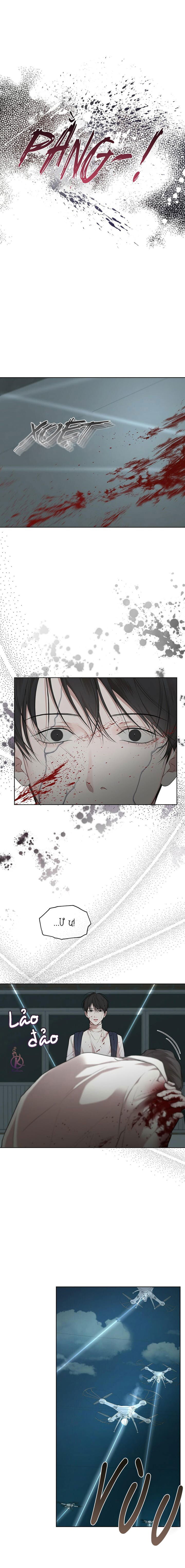 hình thái khởi sinh chapter 57 11