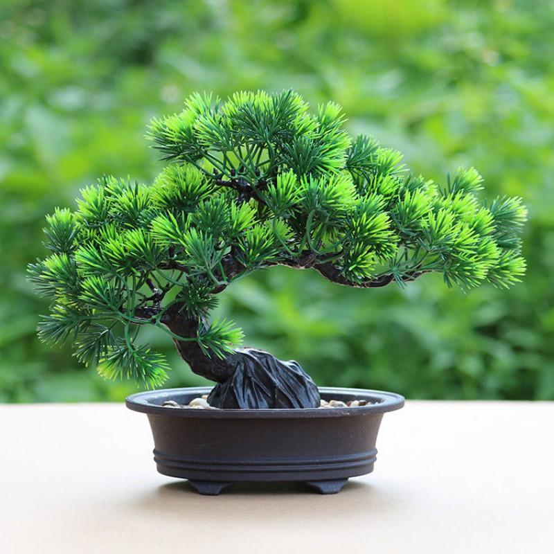 Cây thông giả, chậu cây cảnh bonsai trang trí để bàn, kệ tủ xanh mát tự nhiên CT-03