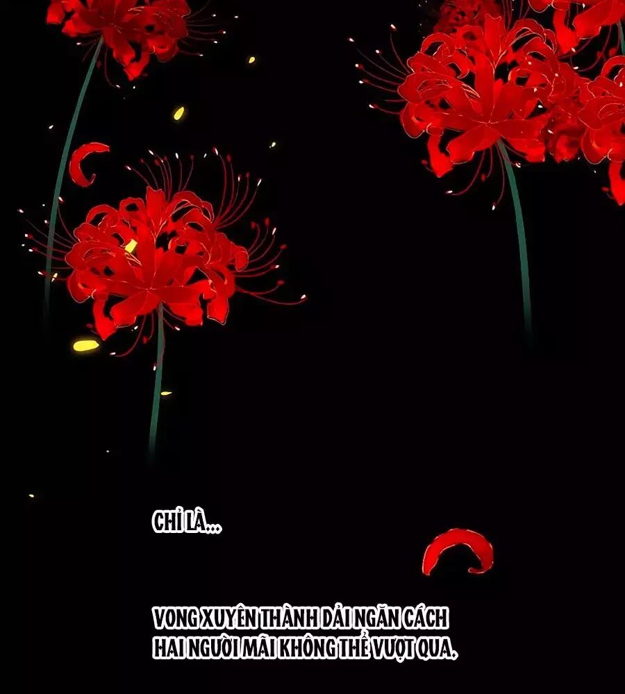 hoa chưa nở rộ chapter 20 6