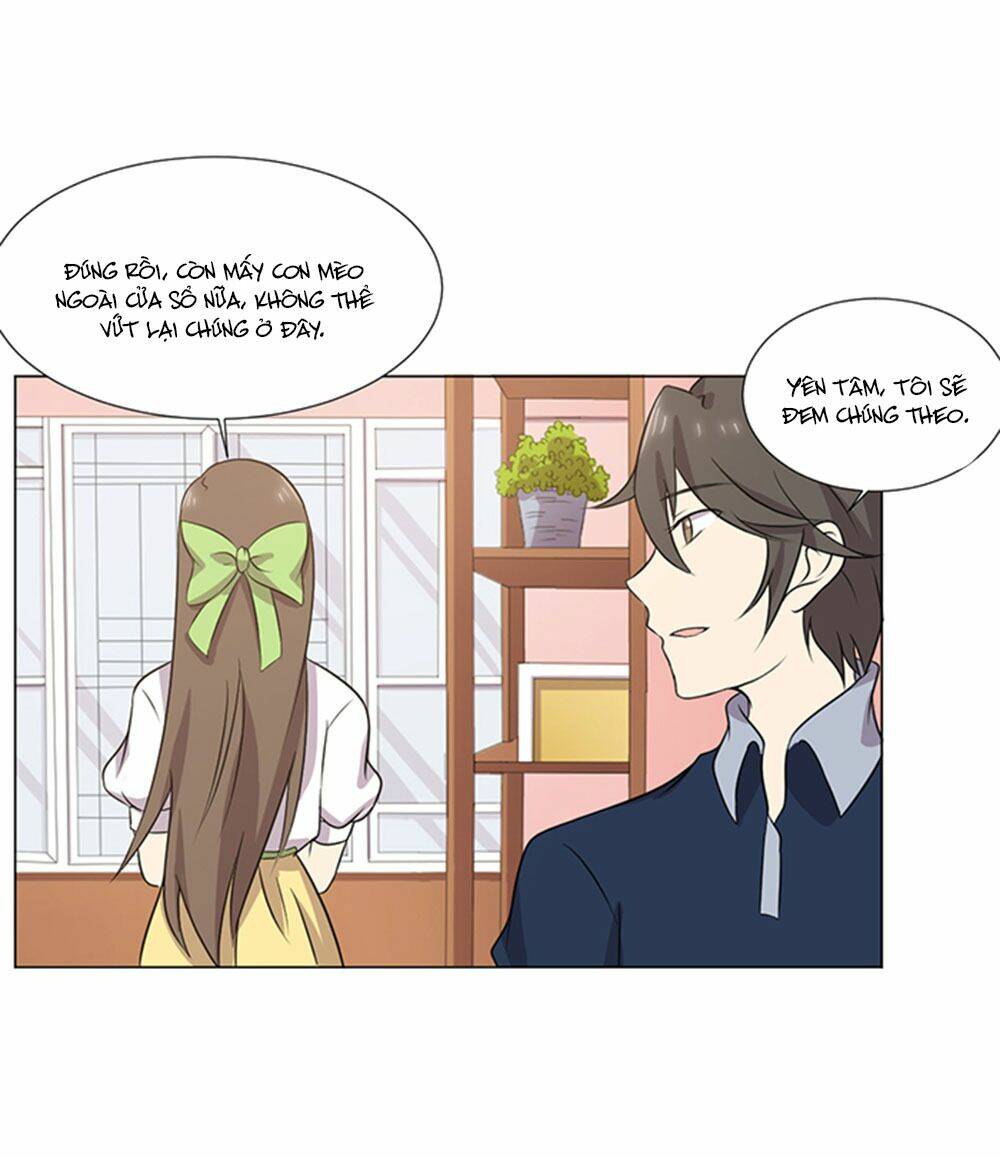 hai chú mèo totem chapter 39 48