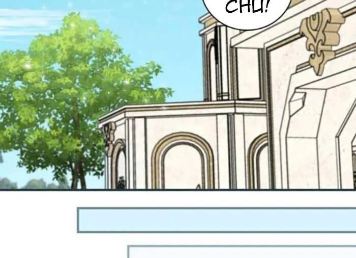 tôi lên cấp chỉ bằng cách ăn chapter 102 78