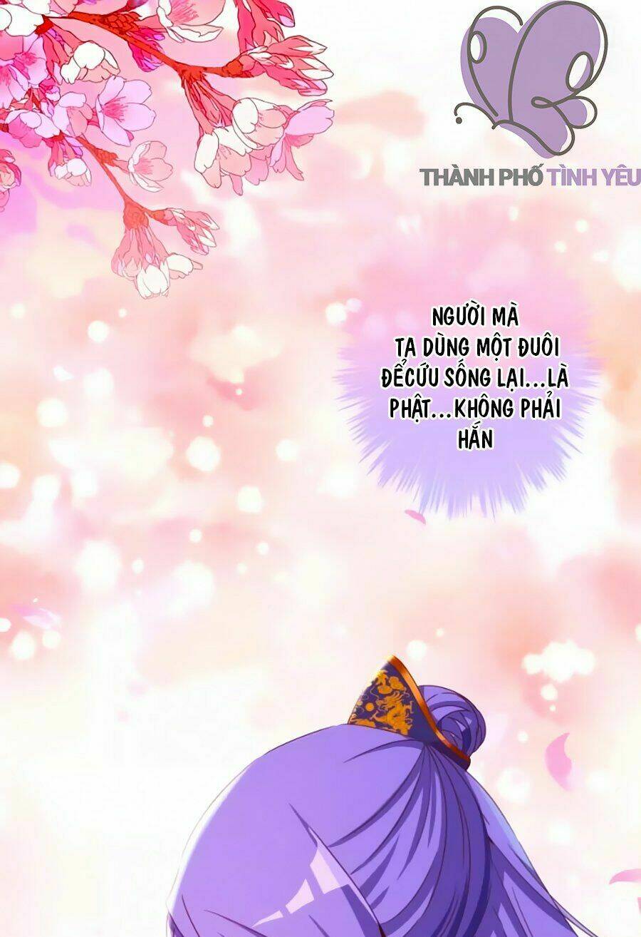 vương phi, vương gia nhà ngươi không ngốc nữa rồi chapter 9 20