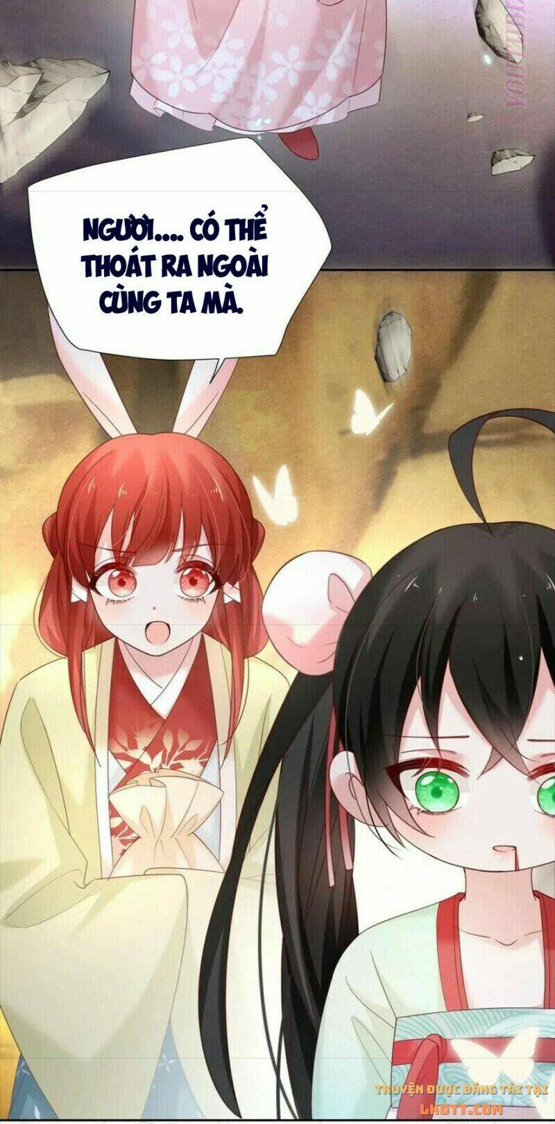 hắc hóa nam chính trực tuyến nuôi thỏ chapter 54 27