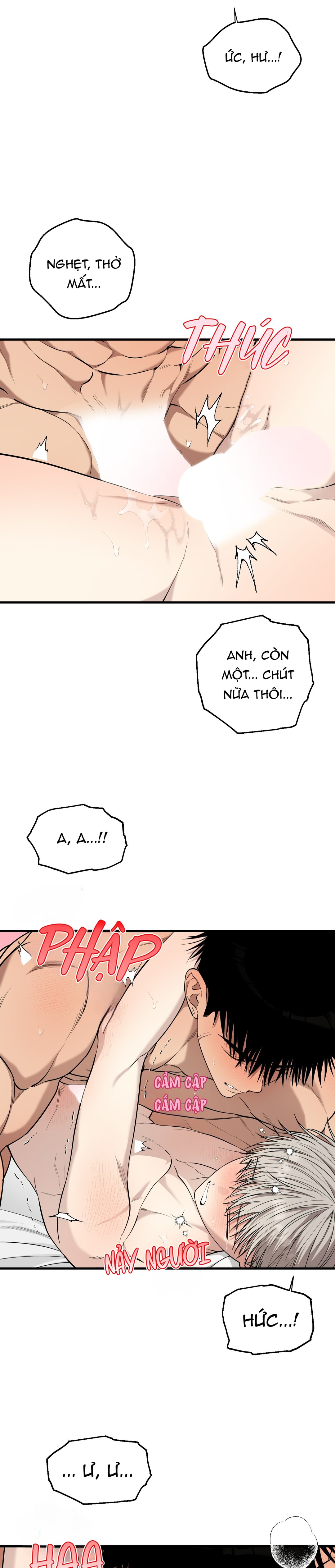 trái tim đa cảm chapter 10 12