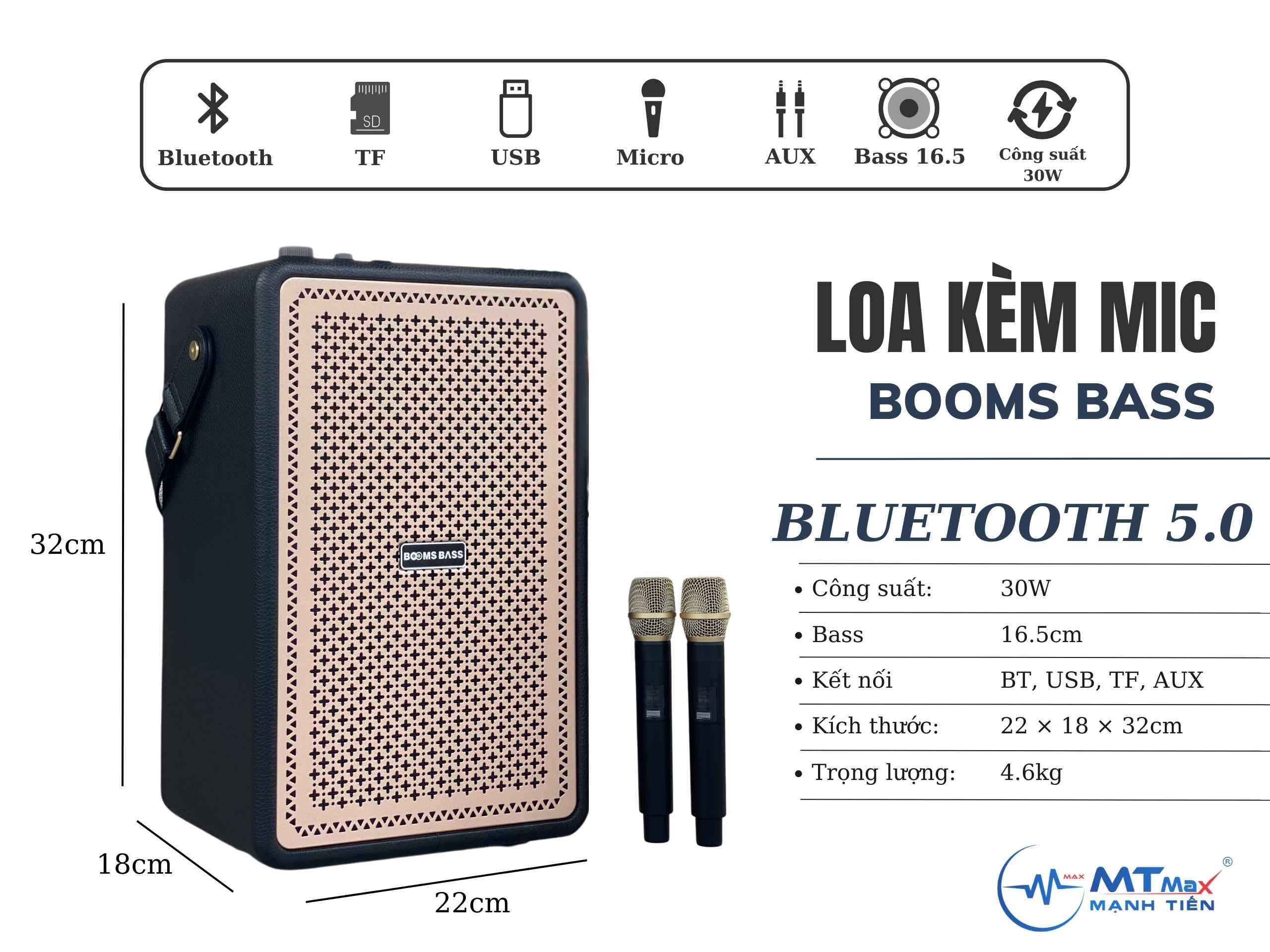 Loa Bluetooth Karaoke Booms Bass M4203 Bass Mạnh, Kèm 2 Micro Không Dây Hàng Chính Hãng Bảo Hành 12 Tháng