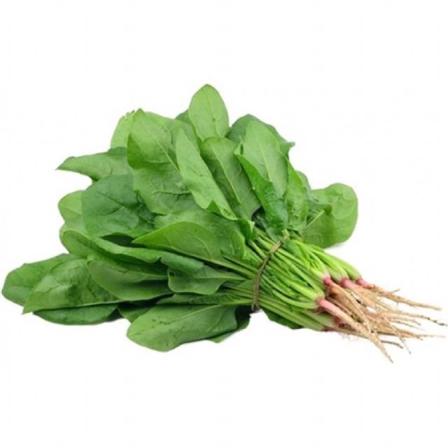 Hạt giống rau cải bó xôi chịu nhiệt F1 (rau chân vịt, rau bina)