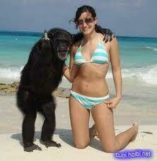 hình ảnh hài hước new chapter 4 1