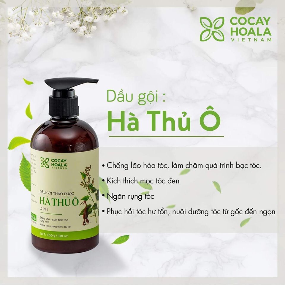 Dầu gội xả thảo dược Hà thủ ô phục hồi hư tổn, ngăn rụng tóc, dưỡng tóc mềm mượt COCAYHOALA chai 300g - Tặng lược gỗ