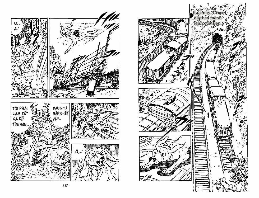 chú chó có nghĩa - ginga nagareboshi gin chapter 28 7