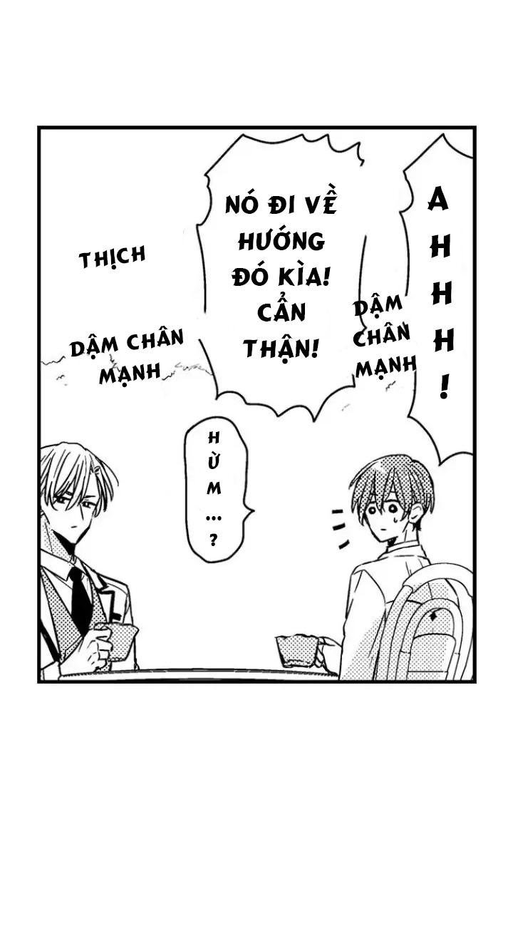 chàng hoàng tử hoàn hảo yêu tôi, tình địch của anh ta? chapter 2 7