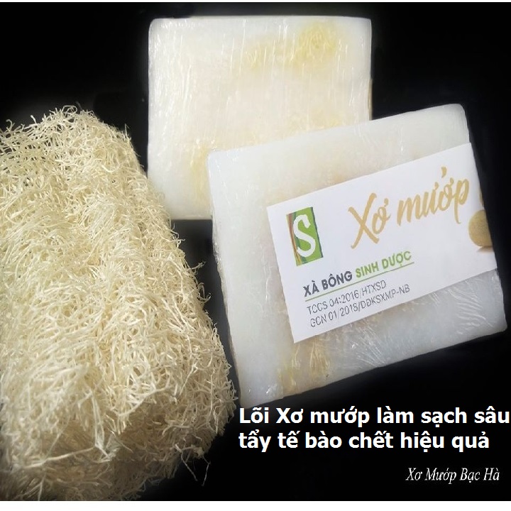 Xà Bông Xơ Mướp hương Sả / Bạc Hà (Bánh 120gr) Xà bông handmade 100% thiên nhiên chính hãng Sinh Dược, Mùi thơm đặc trưng của tinh dầu bạc hà, sả chanh chiết xuất tự nhiên giúp giải tỏa stress, tẩy da chết hiệu quả từ xơ mướp