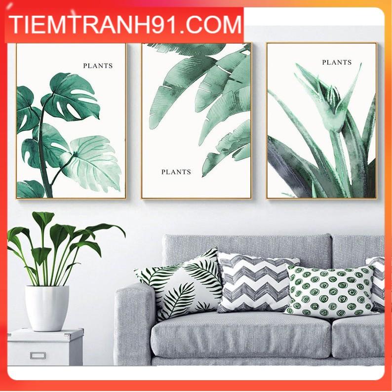 Tranh treo tường | Tranh cây lá nhiệt đới, bộ 3 tranh Monstera, Nghệ thuật thực vật,lá chuối, Nghệ thuật treo tường