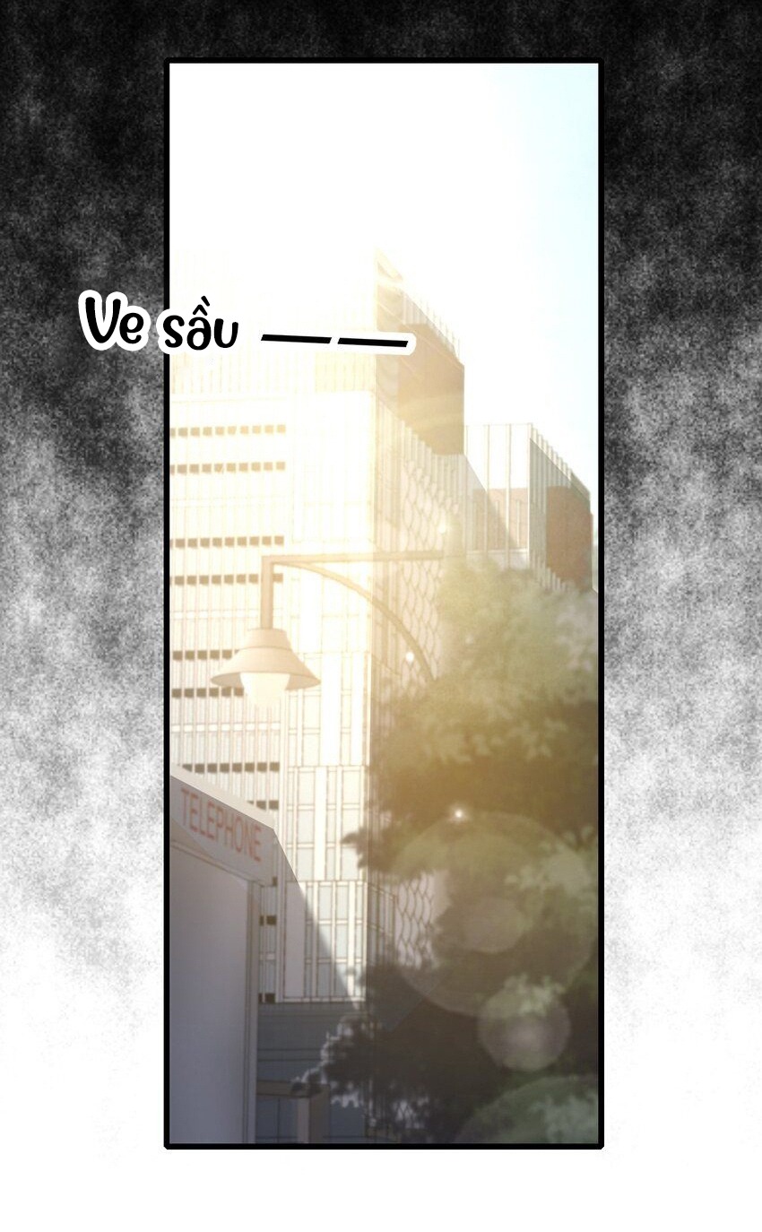 tức thời phạm quy [ tức thì vi quy ] chapter 72 33