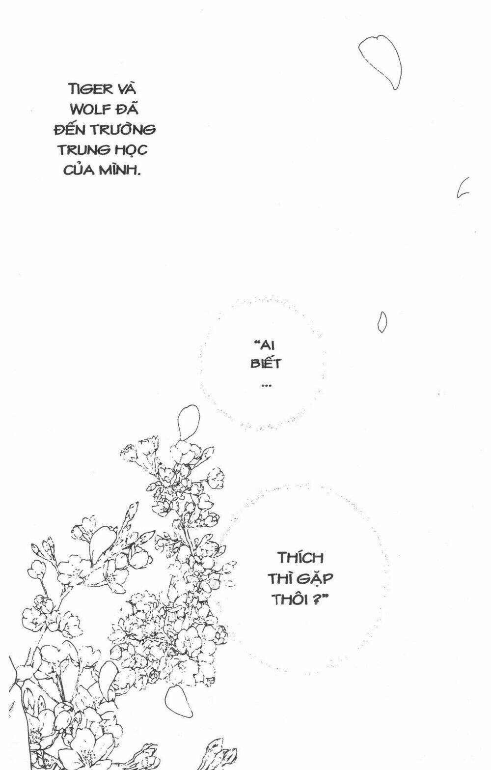 tigers and wolves chapter 1 114