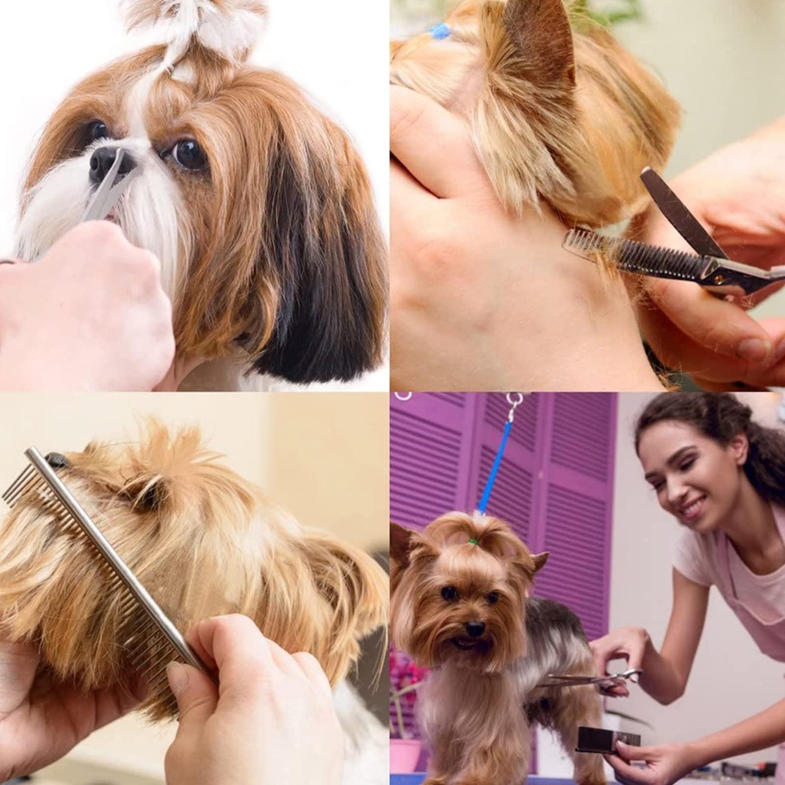 Kéo cắt chải chuốt chó, bộ dụng cụ chải chuốt cho chó bằng thép không gỉ với các mẹo an toàn tròn, bao gồm kéo sứt mẻ, kéo cong, kéo thẳng, lược chải chuốt, lược chải chuốt, lược