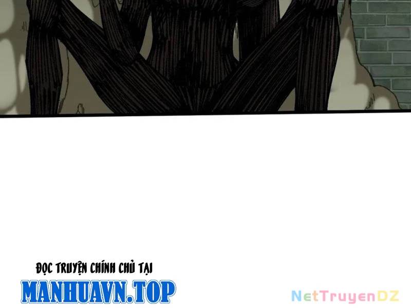 không cẩn thận, lưu danh muôn thủa chapter 98 47