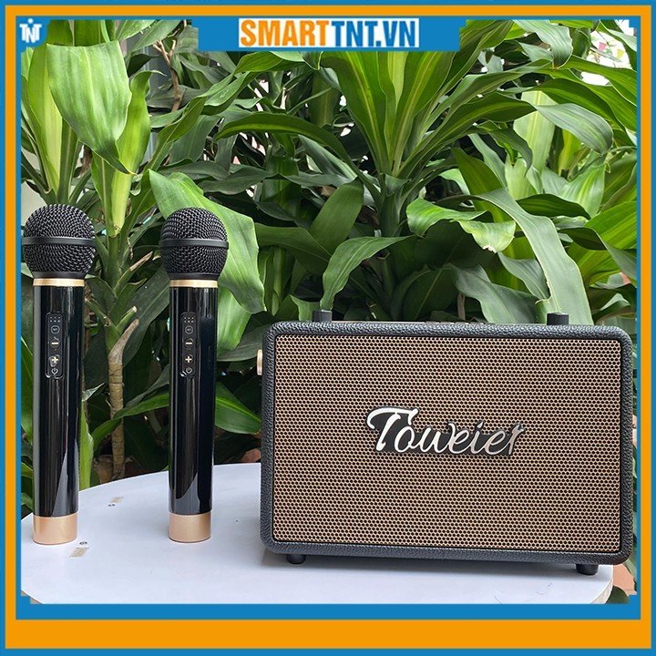 Loa xách tay bluetooth Toweier TW-328 kèm 2 micro không dây hát karaoke mới