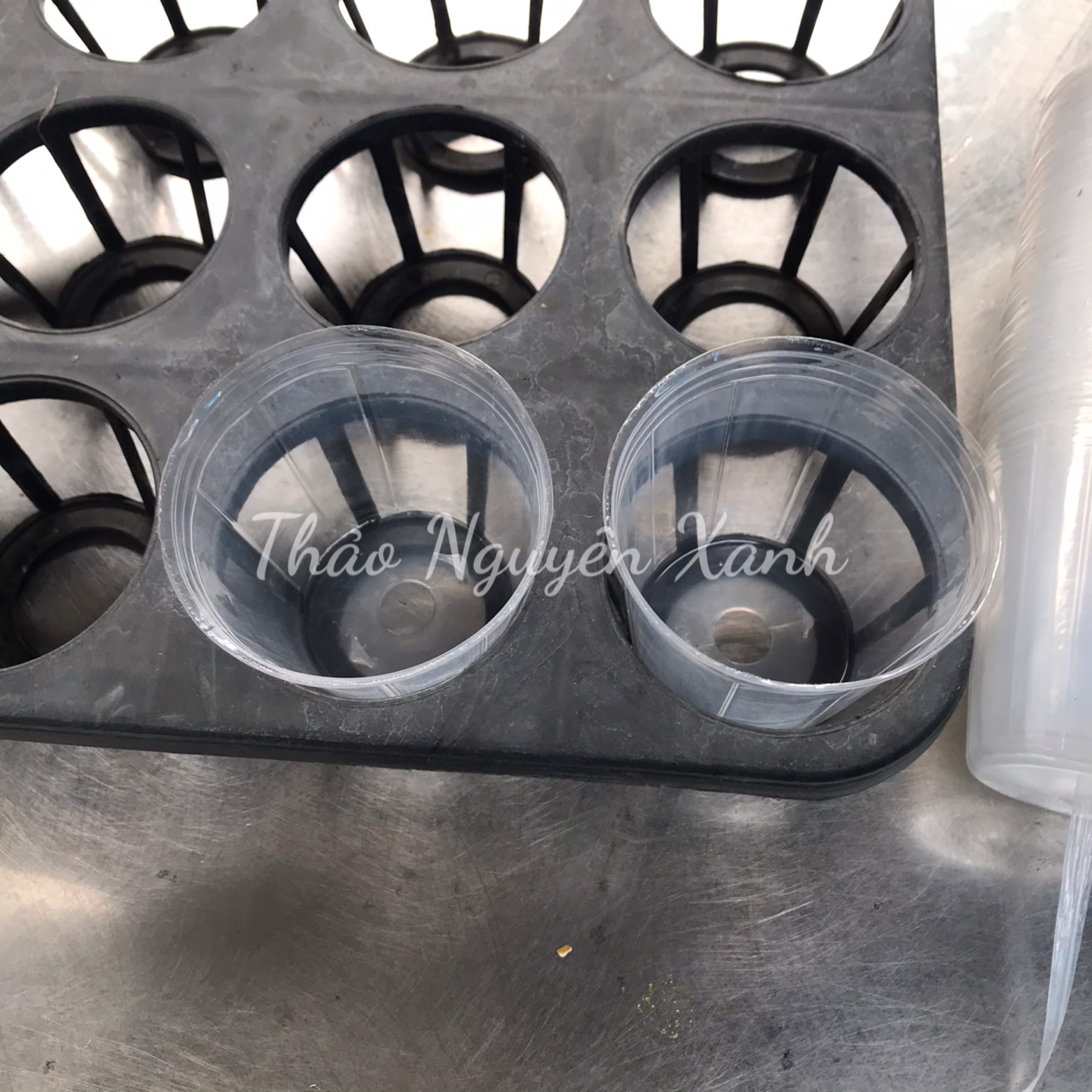 Chậu nhựa dẻo trồng lan hồ điệp 2.5 inch