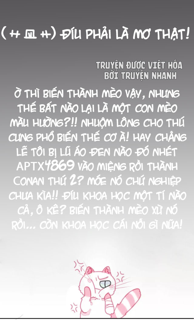 xã hội mèo chapter 1 20