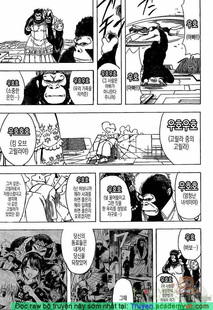 gintama - linh hồn bạc chapter 695 15