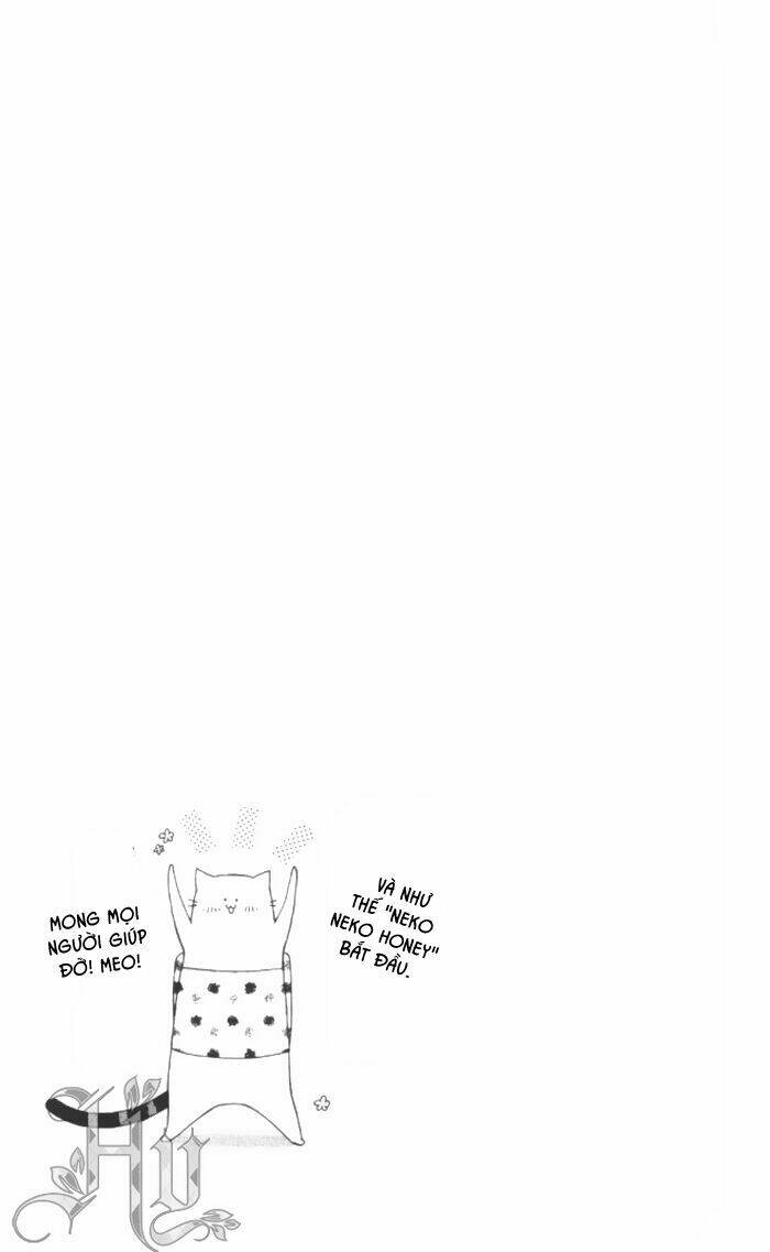 neko neko honey chapter 1 36